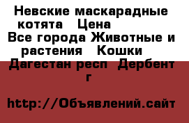 Невские маскарадные котята › Цена ­ 20 000 - Все города Животные и растения » Кошки   . Дагестан респ.,Дербент г.